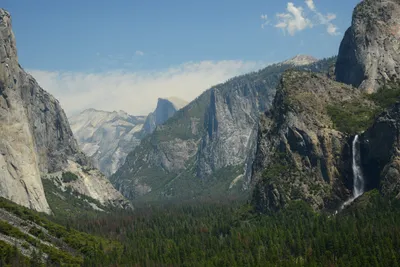 DSC_2365 (Large).JPG